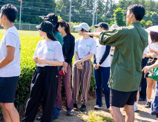 茶畑見学ツアー