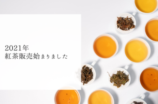 2021年紅茶販売始まりました。