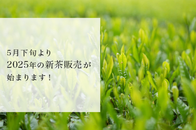 5月下旬より2025年の新茶販売が始まります!